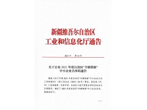 2021年度专精特新企业公示文件 - 副本_00